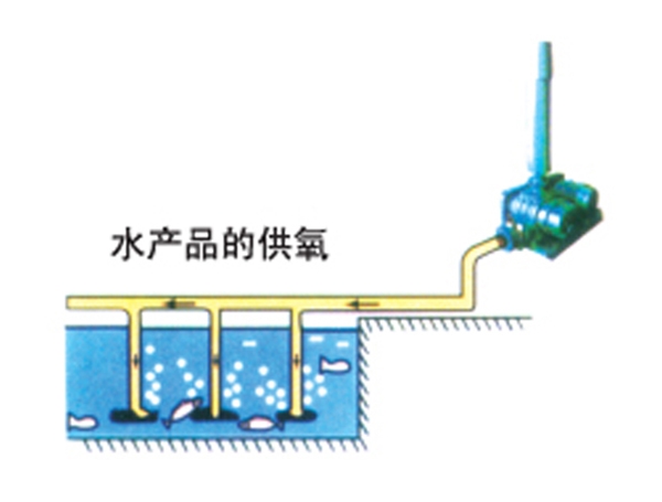 水產(chǎn)養(yǎng)殖供氧